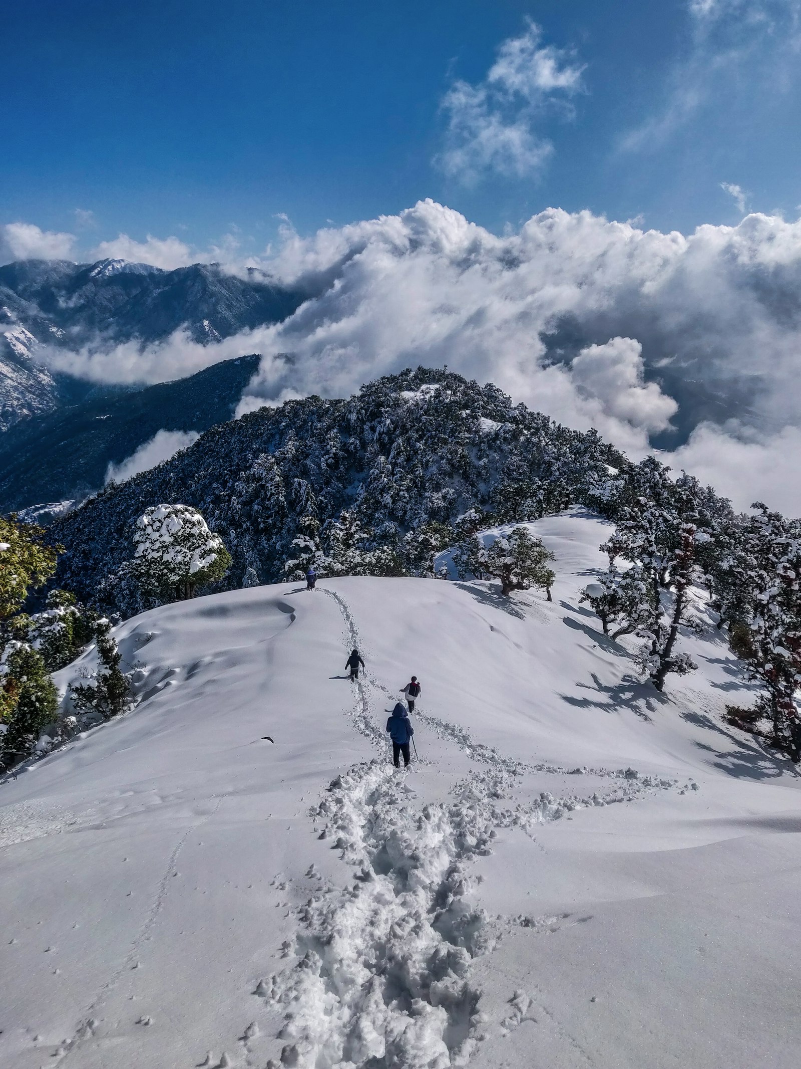Kedarnath Mountain Path